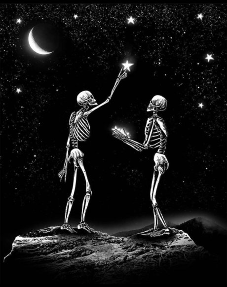 Michael D Foxxx pornstar erotic photo