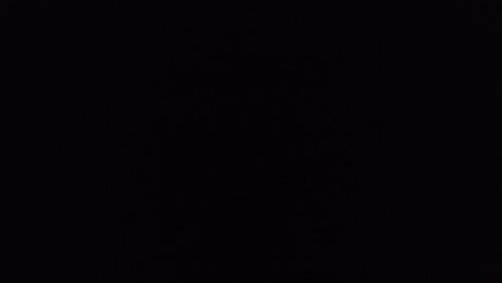 Jorgelina anahi model pornographic picture