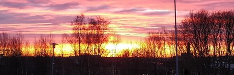 latina shemale onlyfans nude pic