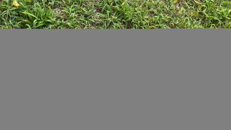 teacher milf onlyfans sexy nudes image