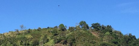 barista onlyfans hot sex galleries