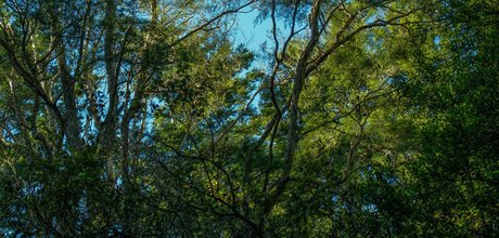 big ass asian onlyfans beautiful image