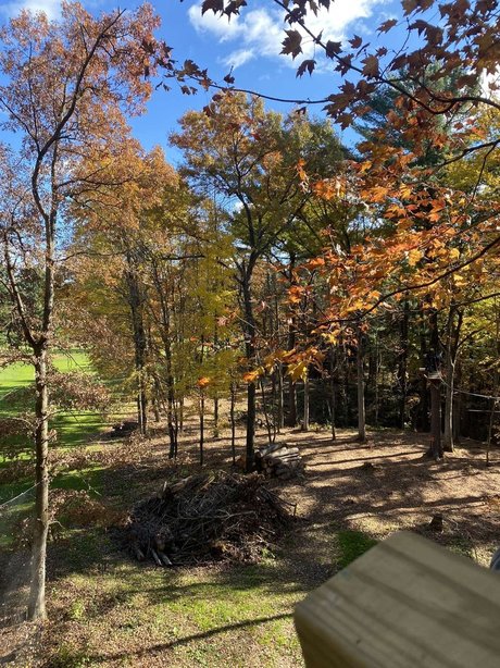 Cara Arizpe star best image