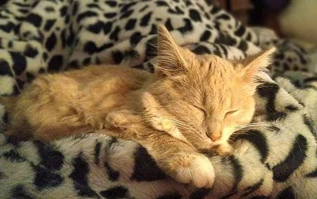 blonde shemale onlyfans hot naked pics