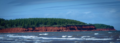 shemale masturbation onlyfans free porn galleries