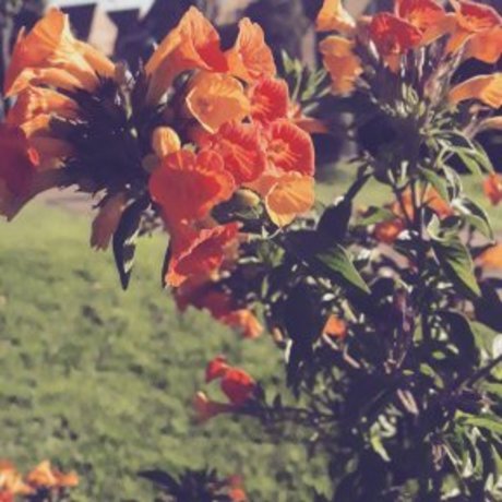 thick latina milf onlyfans beautiful nude archive