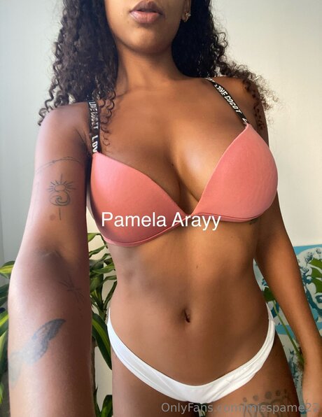 Pamela Aray_ star sex archive