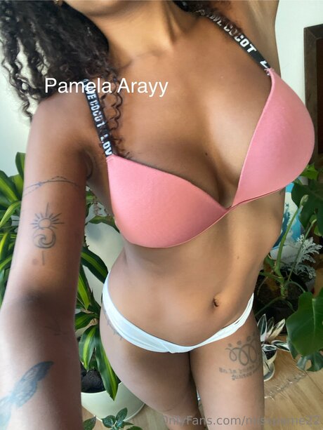 Pamela Aray_ nice actress pic