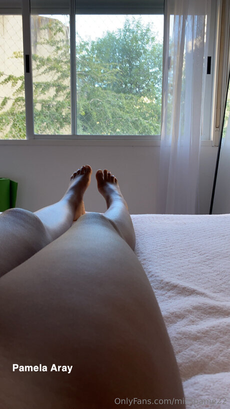 Pamela Aray_ pornstar art photo