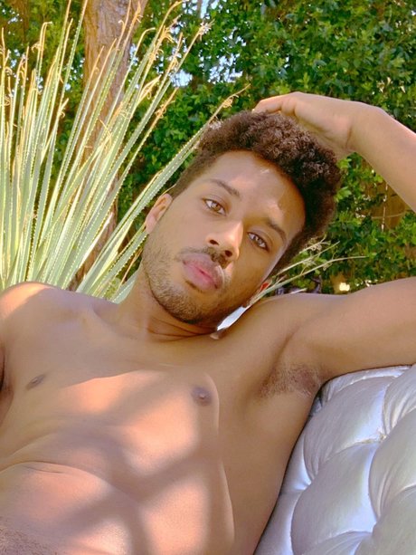 Jericho Rose sexy pornstar gallery