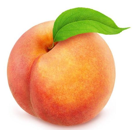 HugeFatBum erotic model pics