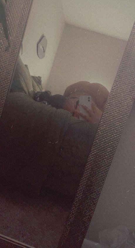 HIPPI_ star art galleries