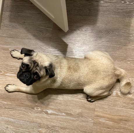 hisreverie star hot pics