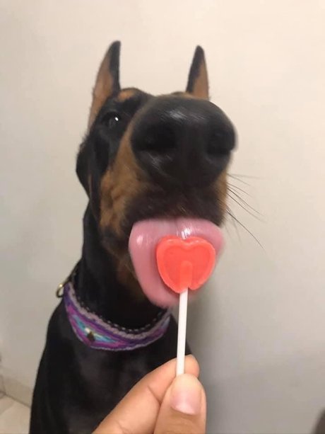 john alissa exclusive star photos