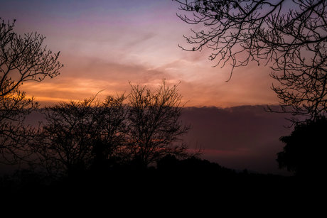 Jojo Kat pornstar nude picture