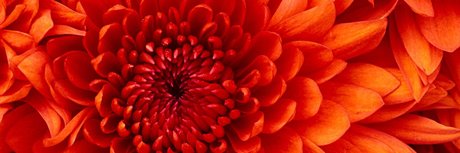 JennaLee actress archive