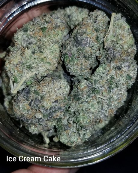 YogaYo adult actress photo