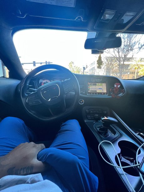 S C O R P I O art pornstar photo