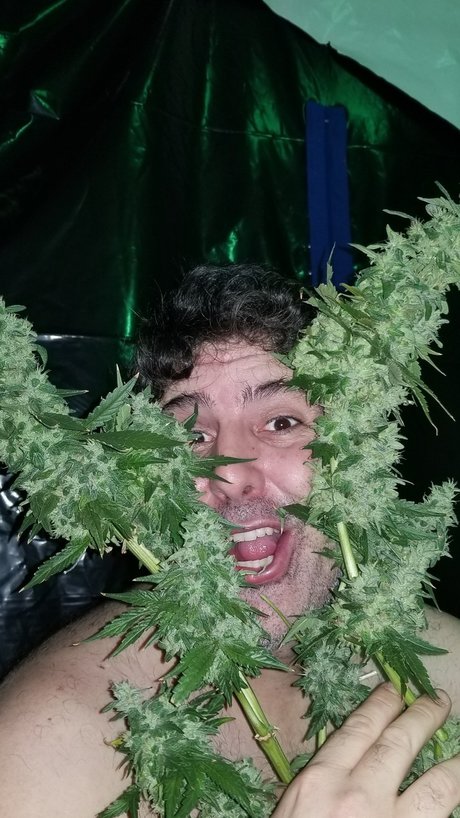 Al13N star exclusive archive