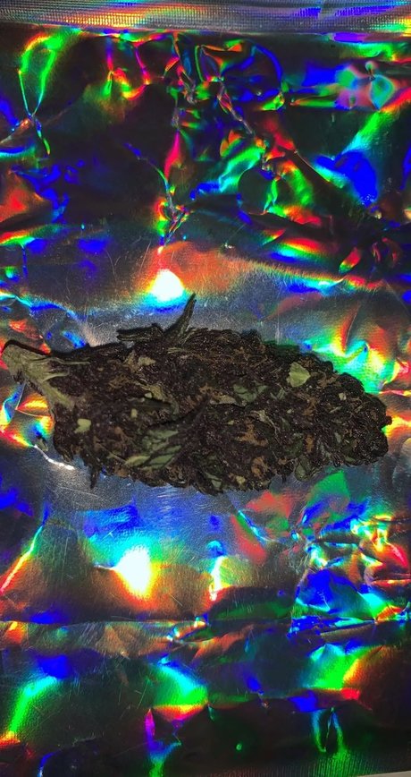 Alexander the Great exclusive star pic