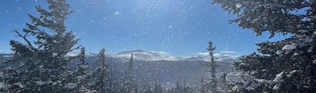 Alisha Dallas model sexy photos