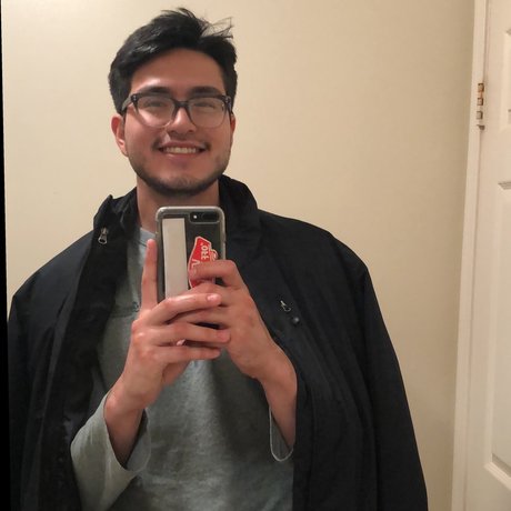 roller art model photo