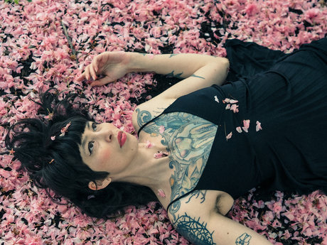 Hexapoda model adult archive