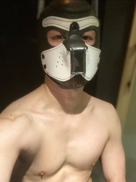 foccaseal pornstar hot img