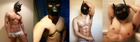 foccaseal beautiful model photo