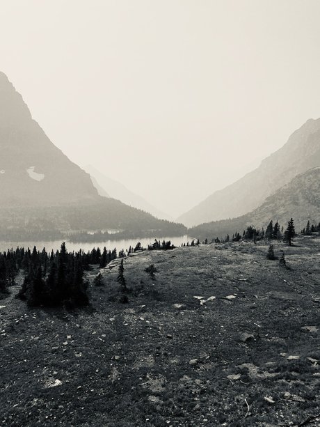 Allie Q V I P_ hot actress images