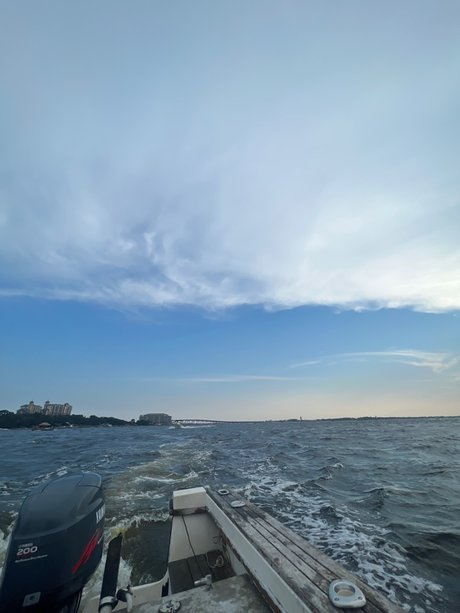 florida baby art actress pics