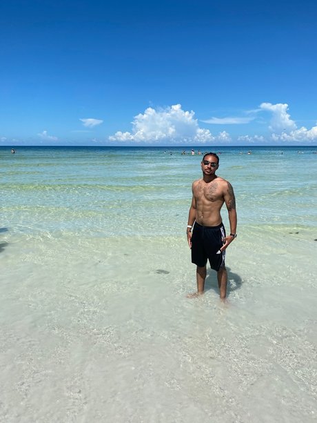 Tzeph star art galleries