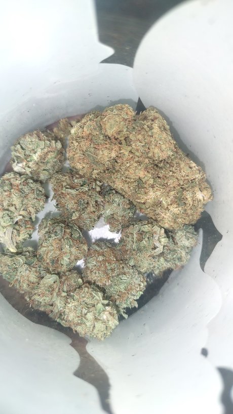 fitness fuck onlyfans free xxx picture