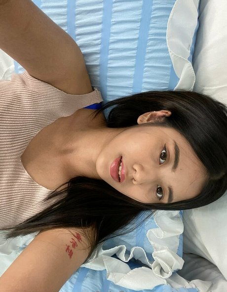 Sandydao model best img