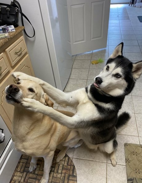 fight onlyfans hot sexy picture