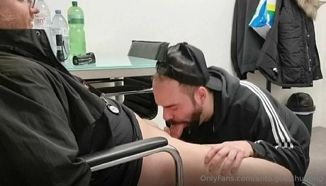 anto goes hunting art star galleries