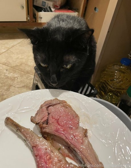 lewdgamermel pornstar exclusive pic