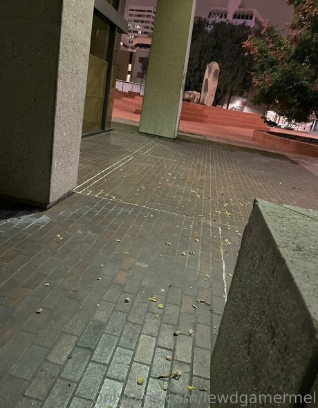 lewdgamermel art star picture