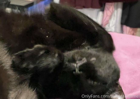 facial onlyfans free xxx images