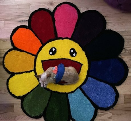 trans onlyfans top picture