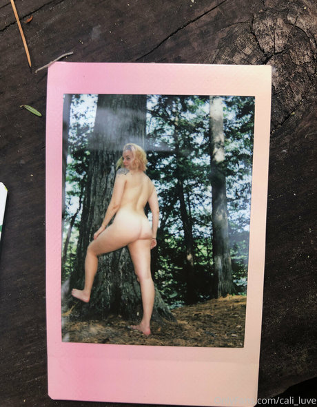 cali luve star pretty archive