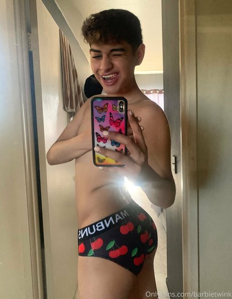 thebarbieetwink adult star galleries