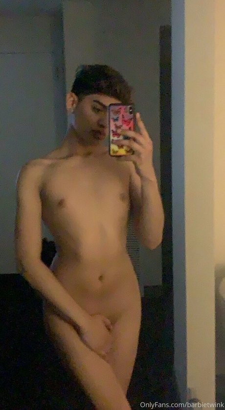 thebarbieetwink Profile