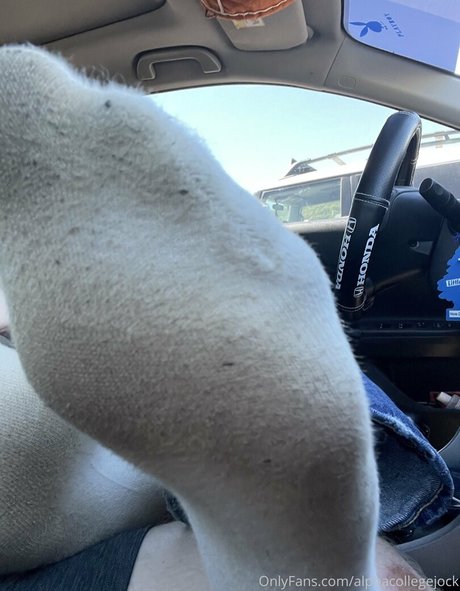 alphacollegejock pornstar beautiful pictures