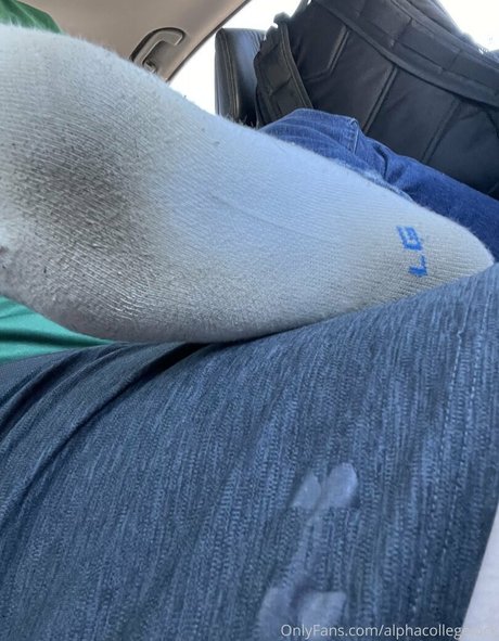 alphacollegejock beautiful actress img