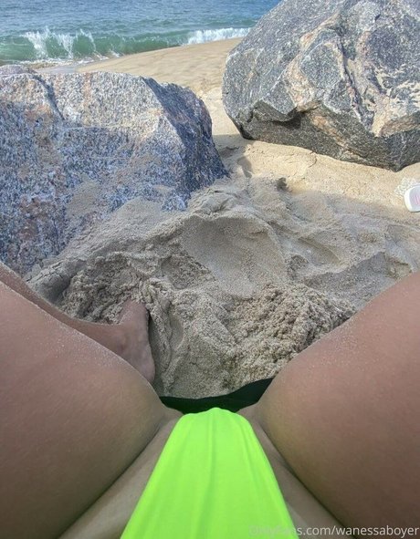 Wanessa Boyer naked pornstar img