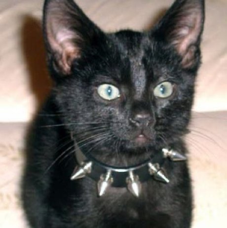 milf glasses onlyfans free nude picture