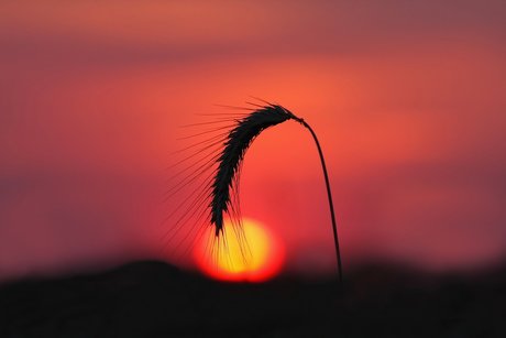 69 blowjob onlyfans free nude images