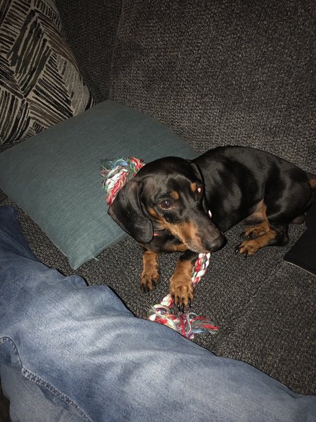 Daniel Gardner Jr_ star hot galleries