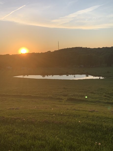 GracieBabie sexy star gallery